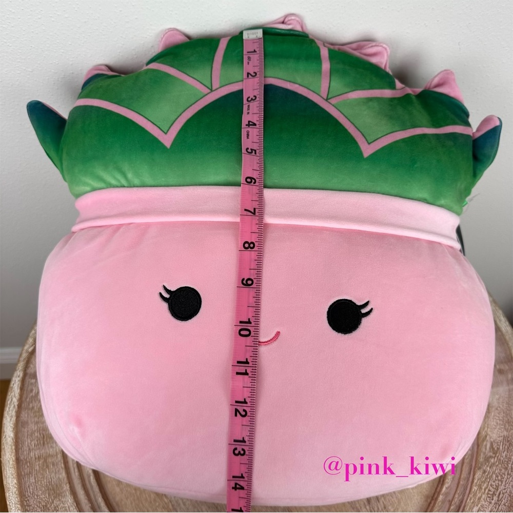 Squishmallows 14” Afiyah the Succulent - Picture 16 of 16